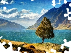 hawea, New Zeland, trees, Mountains, lake