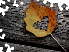 Heart, leaf, trees