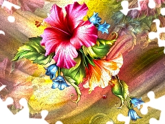 graphics, Colourfull Flowers, hibiskus