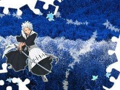 Hitsugaya Toshoro