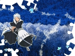 Hitsugaya Toshoro