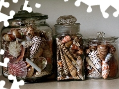 Shells, decoration, hobby, Jars