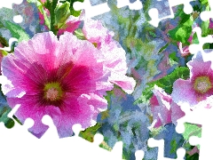 Hollyhocks, ligh, Alberto Guillen, sun, luminosity, watercolor, picture, flash