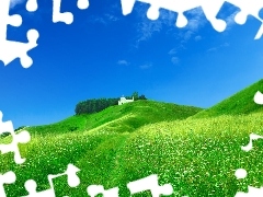 Field, Green, Home, Hill, White, grass