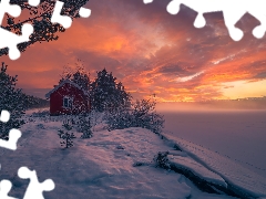 trees, Red, Ringerike, Home, winter, viewes, Norway