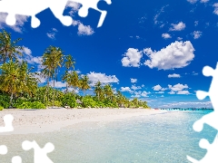 Palms, Home, sea, Beaches, Maldives