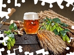 mug, composition, hop, corn, barrel, Beer