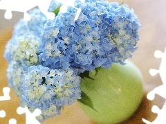 Hortense, Blue, Flowers