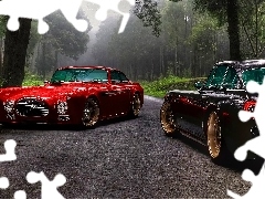 Hot Rods, forest