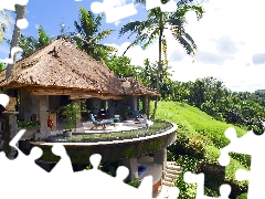 Hotel hall, Palms, Island, Bali, indonesia