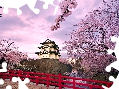 house, Blossoming, cherry