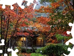 house, autumn, Garden