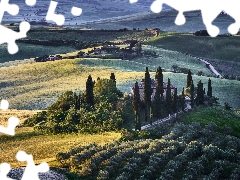 The Hills, Italy, Houses, field, cypresses, Tuscany