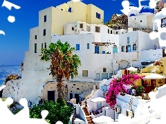 Houses, Greece, santorini