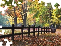 Autumn, wooden, Hurdle, Park