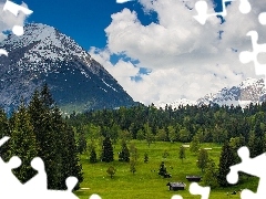 Mountains, Meadow, huts, forest