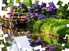 Flowers, River, Boat, hydrangea