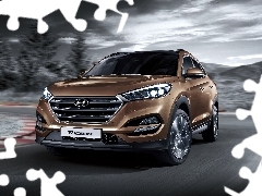 Hyundai Tuscon, 2016