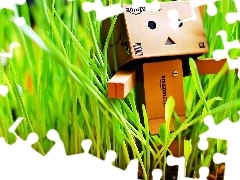 Danbo, In The Grass