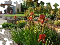 Houses, Red, Irises, Garden