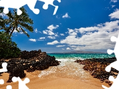 Ocean, Aloha State Hawaje, clouds, rocks, Palms, Maui Island