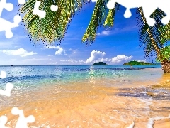 Islands, Tropical, sea, Palms, Beaches