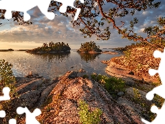 Islets, trees, Russia, viewes, Karelia, rocks, Lake Ladoga, branch pics