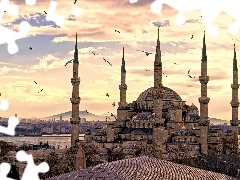 Istanbul, blue, mosque