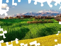 Spring, Mountains, Italy, field