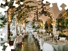 ivy, Restaurant, bows