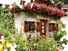 garden, Stone, ivy, geraniums, floral, Houses