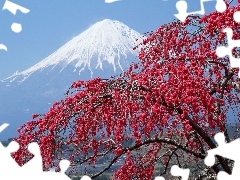 Fuji, Japan