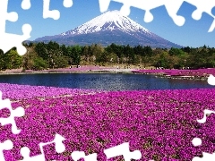 volcano, floral, Japan, carpet