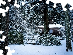 winter, Home, Japan, forest