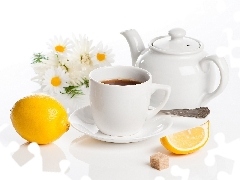 jug, cup, daisy, Lemon, tea