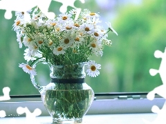 daisy, Flowers, jug, White