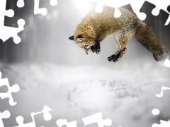 Fox, hunting, jump, snow