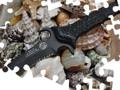 Shells, knife