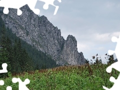 peaks, Tatras, Koscieliska Valley