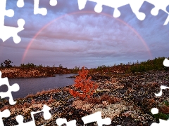 Great Rainbows, Russia, viewes, grass, trees, Lake Ladoga