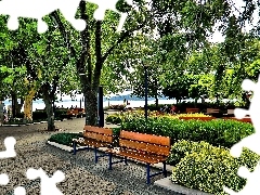 lake, Park, bench