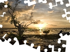 lake, Boat, dry, trees, dawn