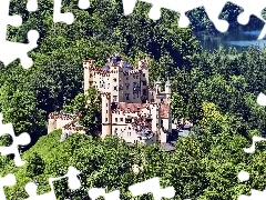 Hohenschwangau Castle, forest, lake, Germany