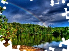 forest, Great Rainbows, lake