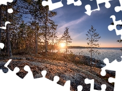 lake, Ladoga, Great Sunsets, trees, rocks, Karelia, Russia, viewes