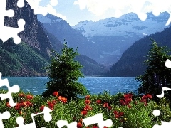 lake, papavers, Mountains