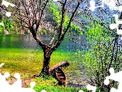 trees, Boat, lake, viewes