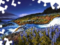 lakes, The Hills, lupine, trees, Flowers, inflow, River, viewes