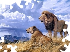 landscape, cats, lions