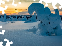 trees, viewes, Finland, Riisitunturi National Park, Lapland, snowy, winter, Great Sunsets